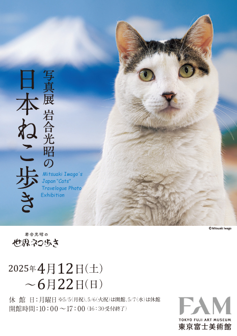 写真展　岩合光昭の日本ねこ歩き